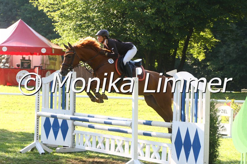 308M1121_Springpferde A.JPG